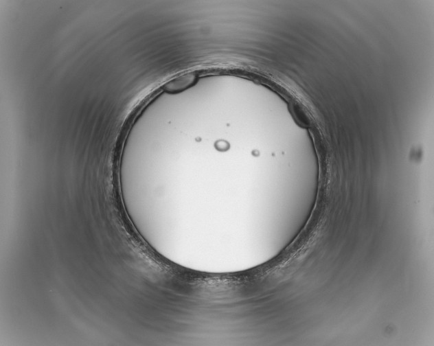 X0000090740834200708101701