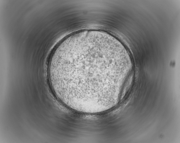 X0000090740835200708101701