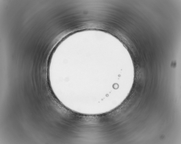 X0000090740836200708101701