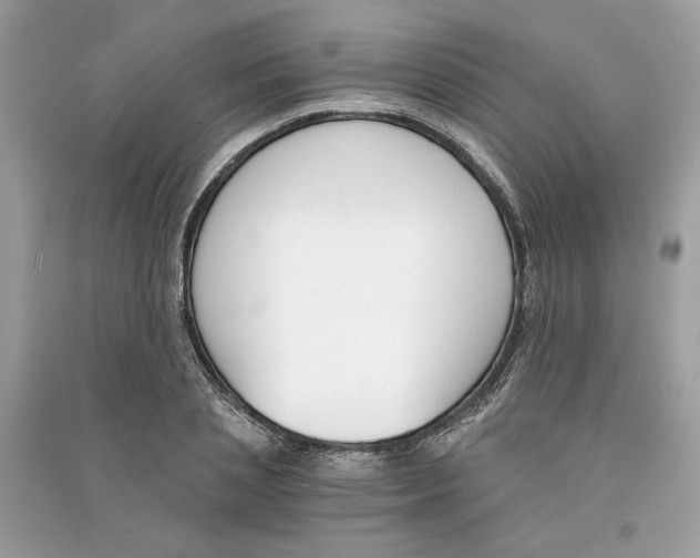 X0000090740837200708101701