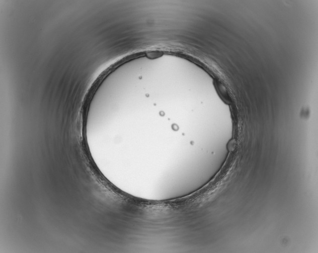 X0000090740838200708101701