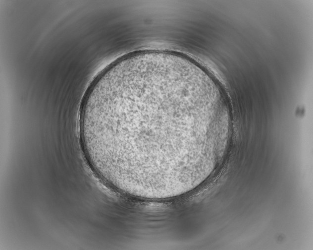 X0000090740839200708101701