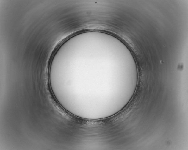 X0000090740840200708101701