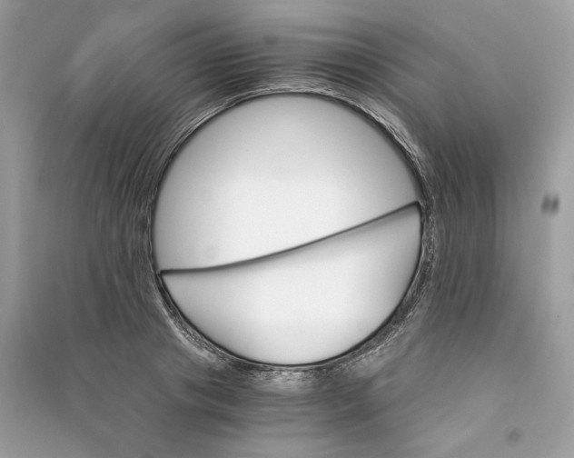 X0000090740841200708101701