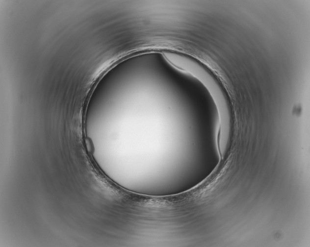 X0000090740842200708101701