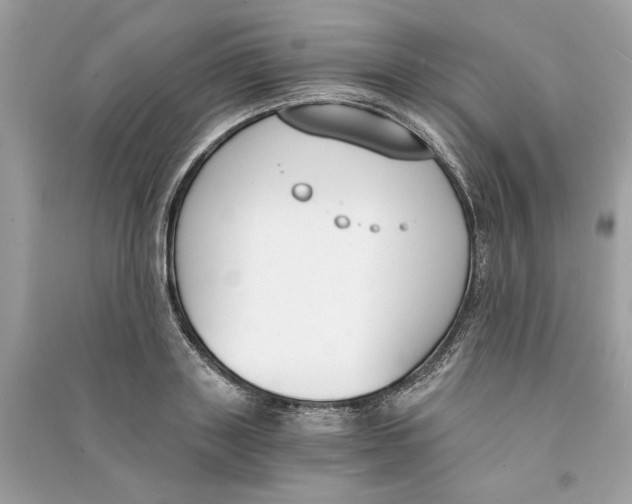 X0000090740843200708101701