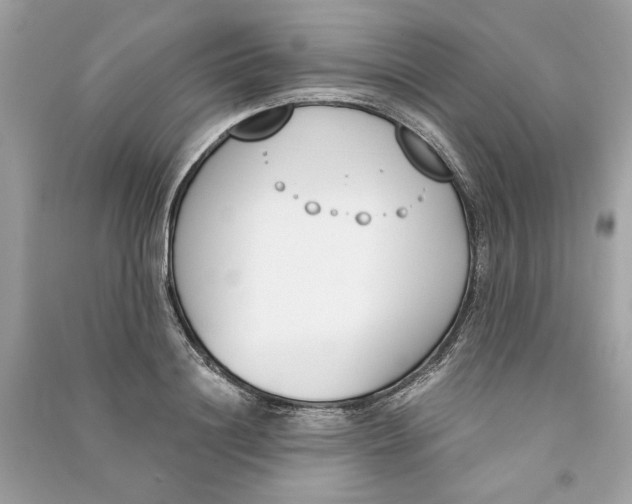 X0000090740844200708101701