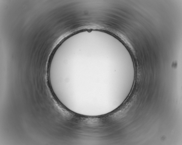 X0000090740845200708101701