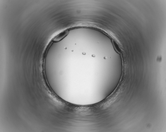 X0000090740846200708101701