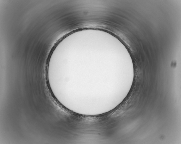 X0000090740848200708101701