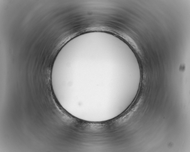 X0000090740849200708101701