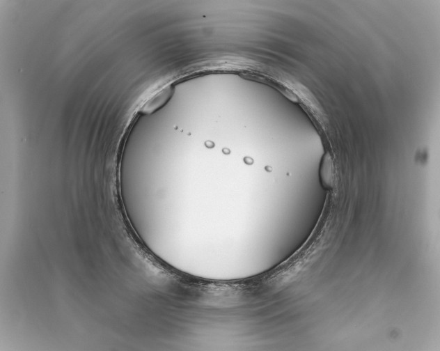 X0000090740850200708101701