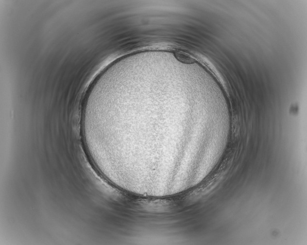 X0000090740851200708101701