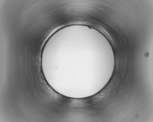 X0000090740852200708101701