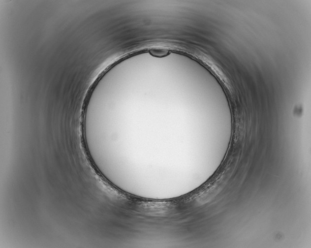 X0000090740853200708101701