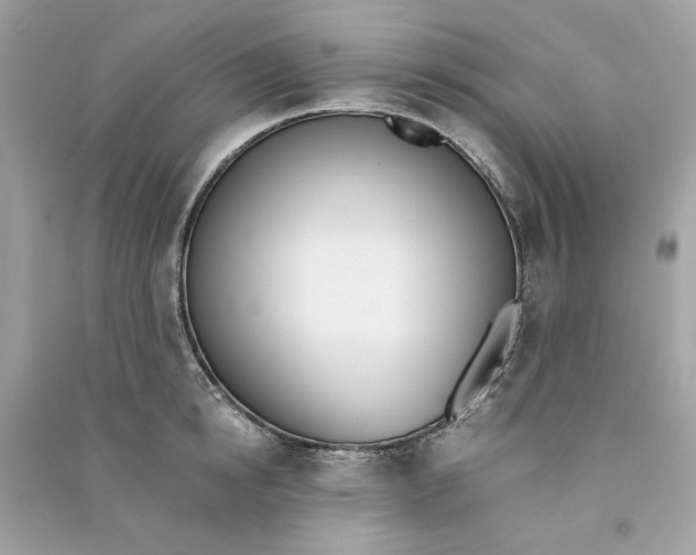 X0000090740854200708101701