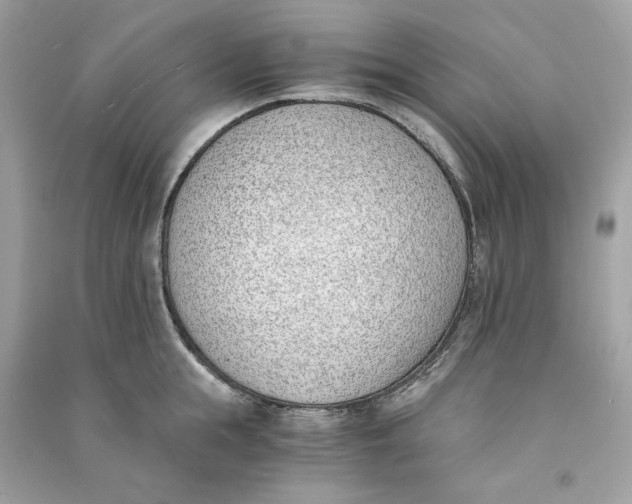 X0000090740855200708101701