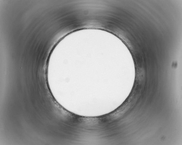 X0000090740856200708101701