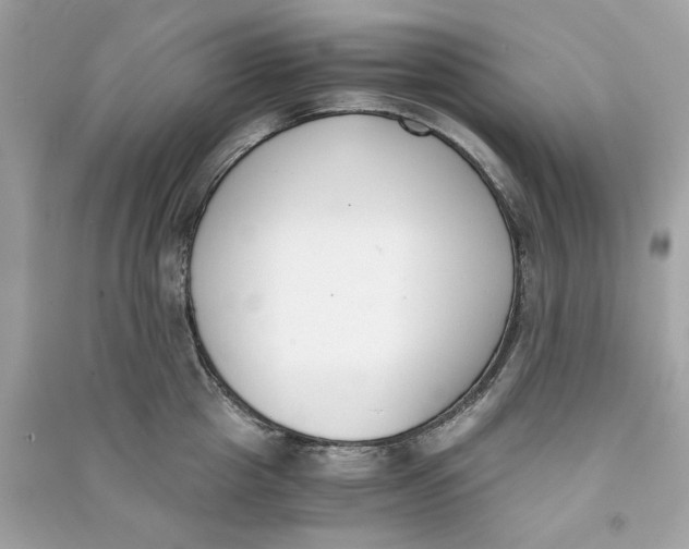 X0000090740857200708101701