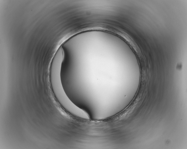 X0000090740858200708101701