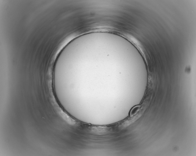 X0000090740859200708101701