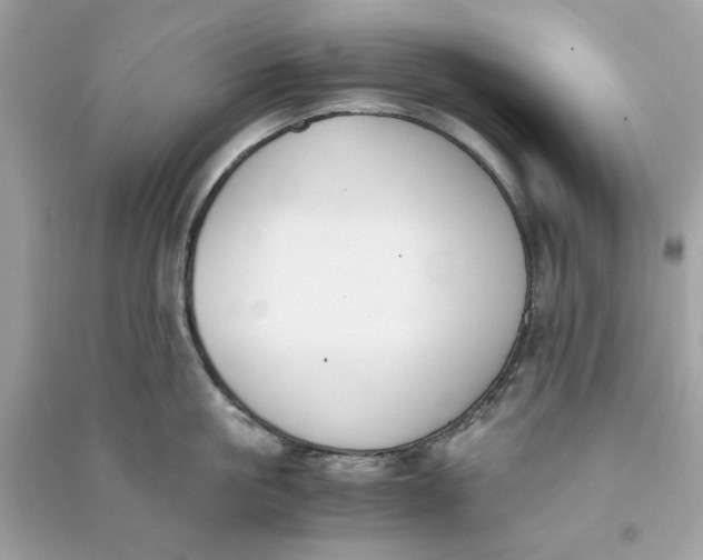 X0000090740861200708101701