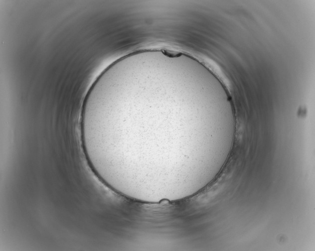 X0000090740863200708101701