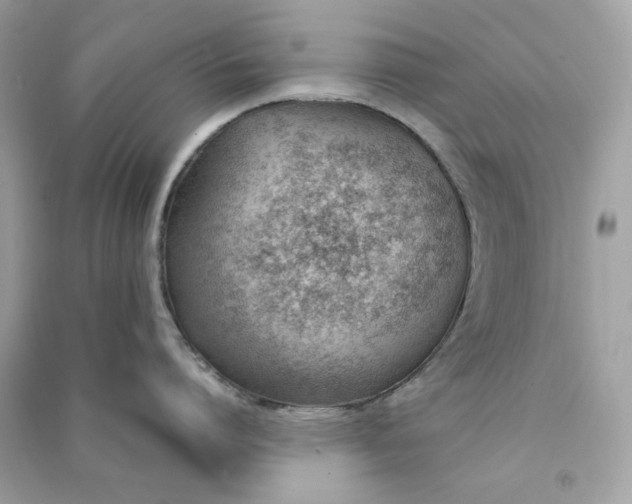 X0000090740864200708101701