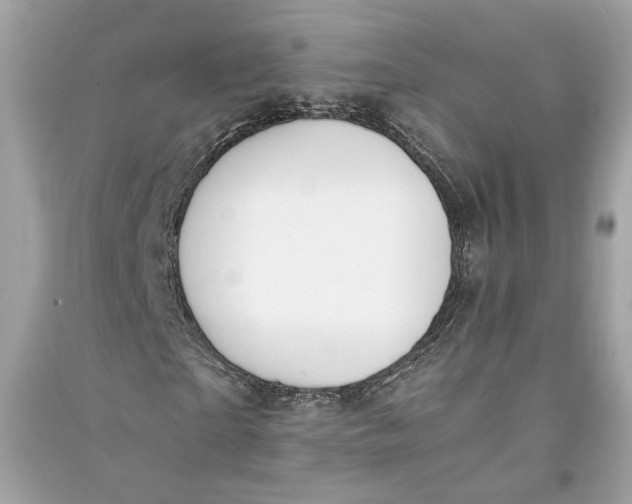 X0000090740865200708101700