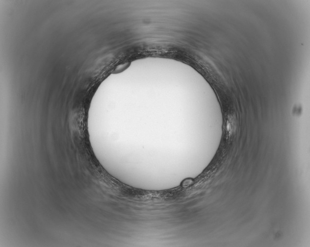 X0000090740867200708101700