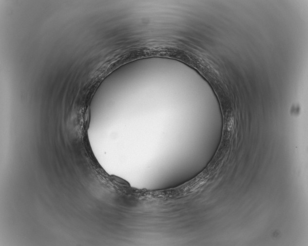 X0000090740868200708101700