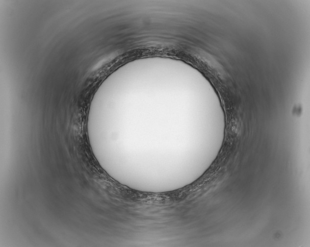 X0000090740869200708101700