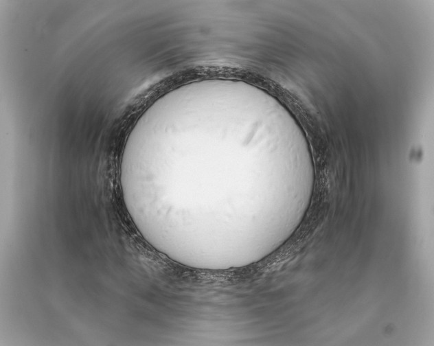 X0000090740870200708101700