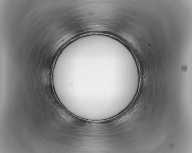 X0000090740873200708101700