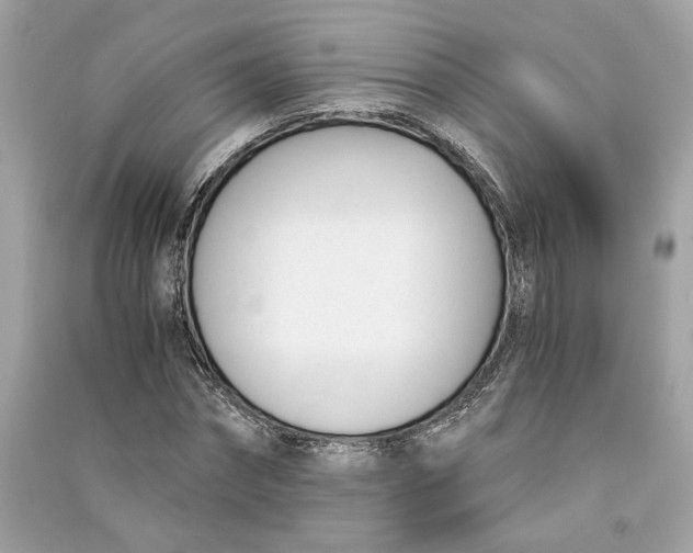 X0000090740874200708101700