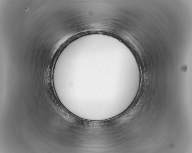 X0000090740875200708101700