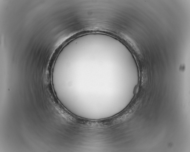 X0000090740876200708101700