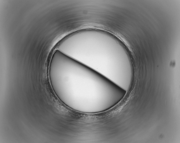 X0000090740877200708101700