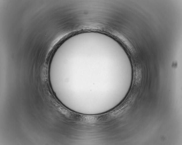 X0000090740878200708101700