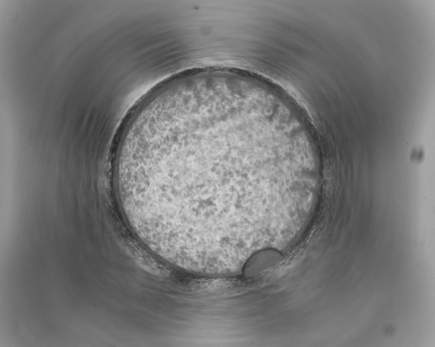 X0000090740879200708101700