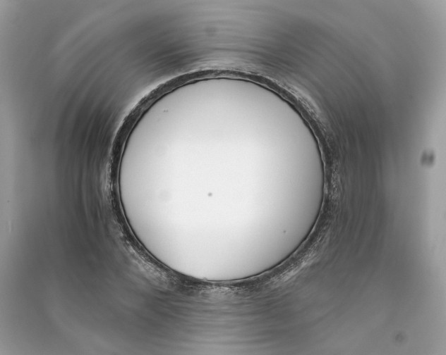 X0000090740880200708101700