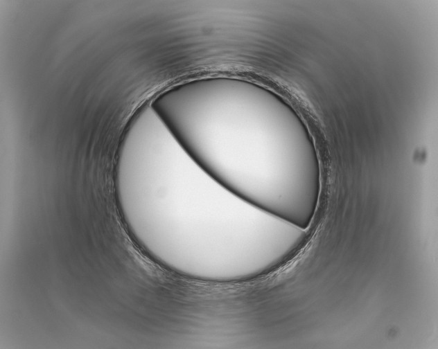 X0000090740881200708101700