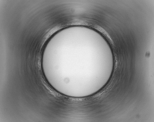 X0000090740882200708101700