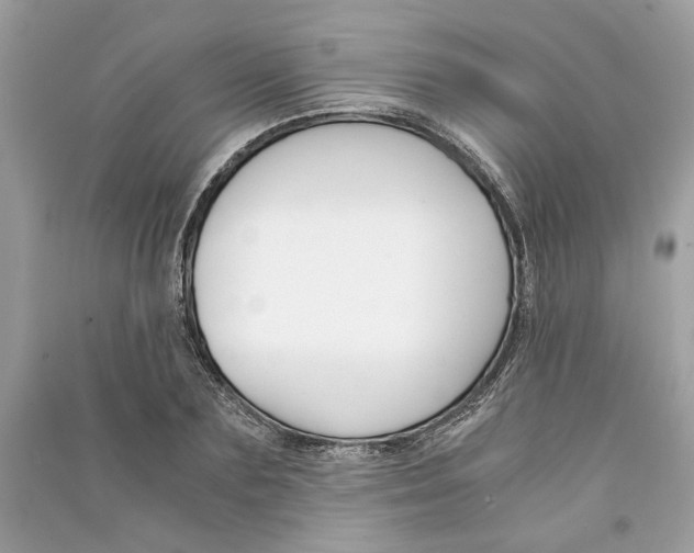 X0000090740883200708101700