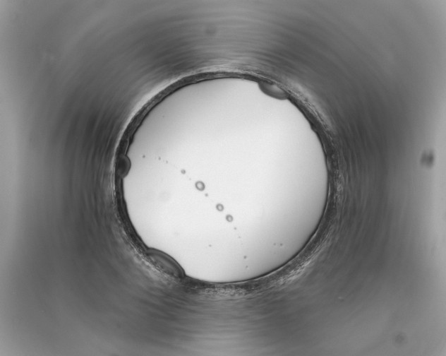 X0000090740884200708101700