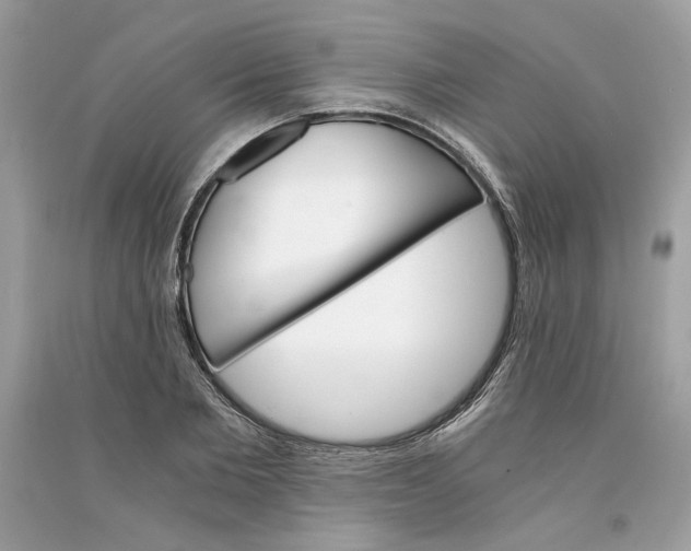 X0000090740885200708101700