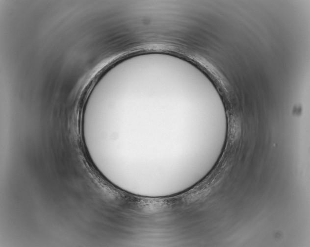 X0000090740886200708101700