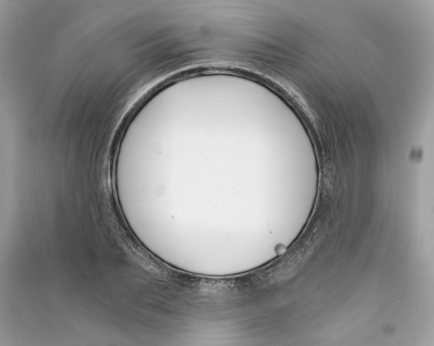 X0000090740887200708101700