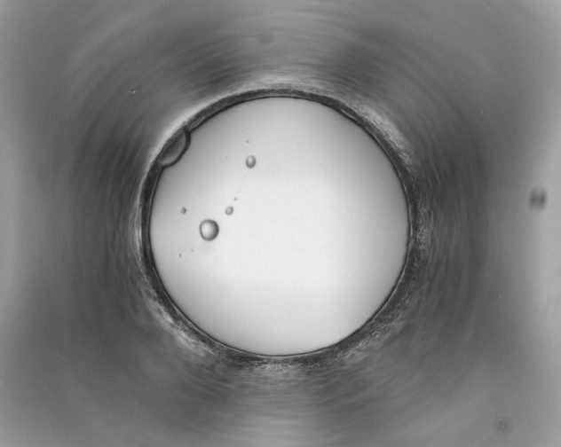 X0000090740888200708101700