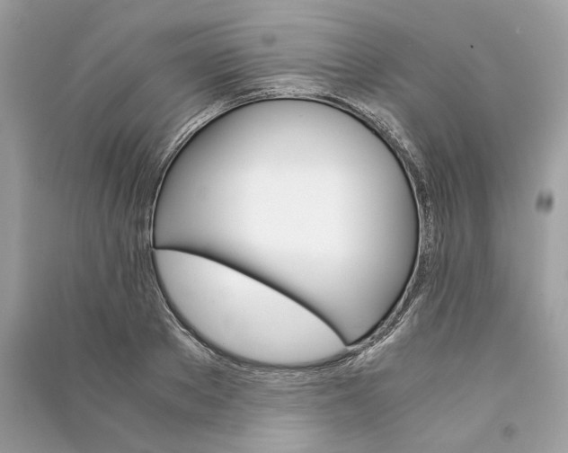 X0000090740889200708101700